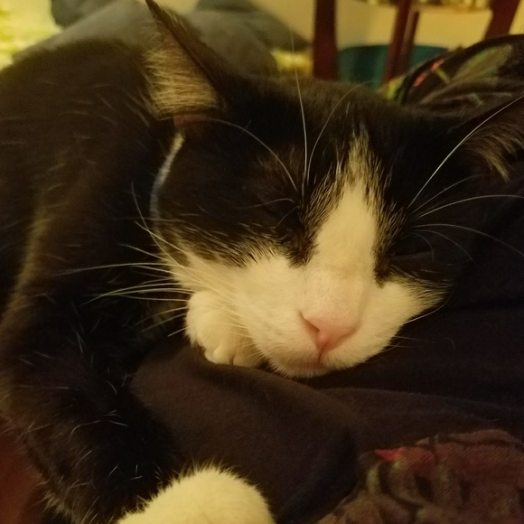 Meet your Posher, Heather - Picture 2 of 2